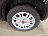  Fiat  Panda FIAT  / 2011 / 5P / BERLINA 1.2 69CV E6D-TEMP EASY #19