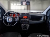  Fiat  Panda FIAT  / 2011 / 5P / BERLINA 1.2 69CV SeS E6D-TEMP EASY #3