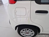  Fiat  Panda FIAT  / 2011 / 5P / BERLINA 1.2 69CV SeS E6D-TEMP EASY #53