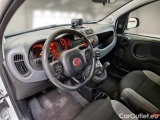  Fiat  Panda FIAT  / 2012 / 5P / BERLINA 1.0 70CV HYBRID EURO 6D VAN 2 P. POP #3