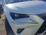  Lexus  NX LEXUS  / 2017 / 5P / todoterreno 2.5 300h Business Navigation 2WD (CX) #17