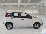  Fiat  Panda FIAT  / 2011 / 5P / BERLINA 1.2 69CV SeS E6D-TEMP EASY #7