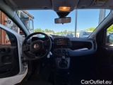  Fiat  Panda 1.0 FireFly 70cv S&S Hybrid #6