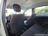  Fiat  Panda 1.0 FireFly 70cv S&S Hybrid #8
