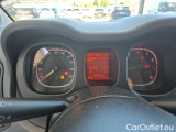  Fiat  Panda 1.0 FireFly 70cv S&S Hybrid #13
