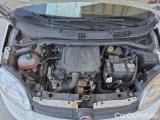  Fiat  Panda 1.0 FireFly 70cv S&S Hybrid #15