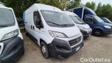 Ducato