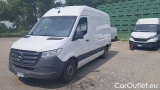 Sprinter