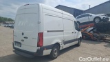 Sprinter