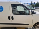  Fiat  Doblo MAXI 1.4 (GAZ NATUREL DE VILLE) TJET 120 PRO LOUNGE #69