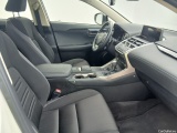  Lexus  NX LEXUS   2.5 300h Business Navigation 155 CV #6