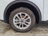  Ford  Kuga FORD  / 2019 / 5P / SUV 2.5 BENZINA PHEV 225CV 2WD TIT.BUS. AUT #19