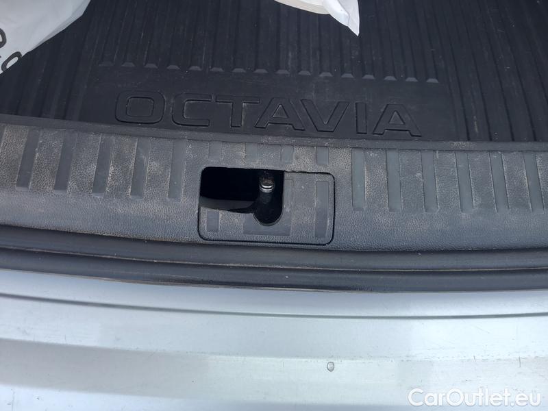  Skoda  Octavia  Combi (NX3)(2020) Oct.C.2.0TDI 110 4x4 Ambit AT #17