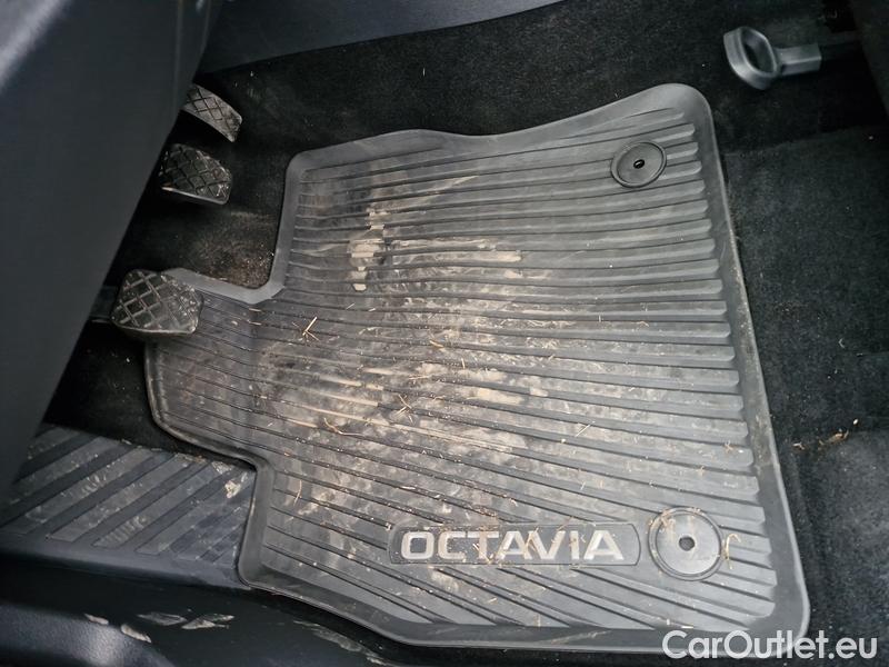  Skoda  Octavia  Combi (NX3)(2020) Oct.Combi 2.0TDI 85 Ambition #3