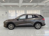  Ford  Kuga FORD  / 2019 / 5P / SUV 1.5 ECOBLUE 120CV 2WD TITANIUM BUS. AUTO #8