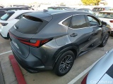 NX