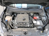  Ford  Focus  Turnier Cool & Connect 1.5 EcoBoost 110KW AT8 E6d #12