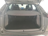  Peugeot  2008  Active 1.2 PureTech 100CV BVM6 E6d #10