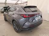 NX