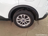  Ford  Kuga FORD  / 2019 / 5P / SUV 1.5 ECOBLUE 120CV 2WD TITANIUM BUS. AUTO #19