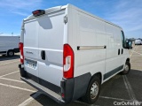 Ducato