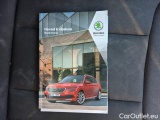  Skoda  KAMIQ -SUV (NW4) (2019)  1.0T 81  Fresh 5d #16