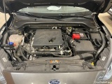  Ford  Focus  Turnier Cool & Connect 1.5 EcoBoost 110KW AT8 E6d #13