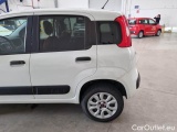  Fiat  Panda FIAT  / 2012 / 5P / BERLINA 900CC 85CV VAN EU6D 4X4 2P.POP #29