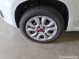  Fiat  Panda FIAT  / 2012 / 5P / BERLINA 900CC 85CV VAN EU6D 4X4 2P.POP #40