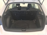  Skoda  Fabia  Active 1.0 MPI 80CV BVM5 E6d #10