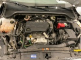  Ford  Focus  Turnier Cool & Connect 1.5 EcoBlue 88KW AT8 E6dT #11