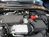  Ford  Kuga  Vignale 2.0 EcoBlue 140KW AT8 E6d #18