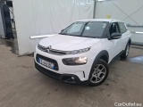C4 Cactus