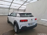 C4 Cactus