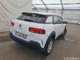 C4 Cactus