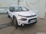 C4 Cactus