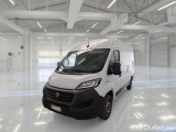 Ducato