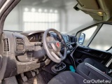 Ducato