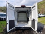 Ducato
