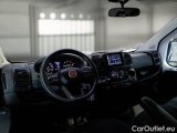 Ducato