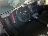 Ducato