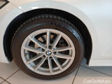  Bmw  Serie 3 BMW  / 2018 / 5P / STATION WAGON 318D 48V BUSINESS ADVANTAGE TOURING AUTO #20