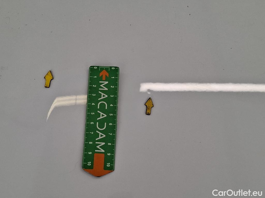  Renault  Megane  IV Estate Evolution 1.5 dCi 115CV BVM6 E6d #46