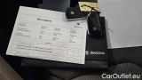 Skoda  ENYAQ 80 #12