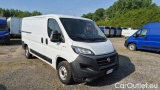Ducato
