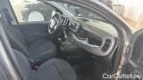  Fiat  Panda 1.0 FireFly 70cv S&S Hybrid #6