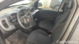 Fiat  Panda 1.0 FireFly 70cv S&S Hybrid #7