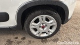  Fiat  Panda 1.0 FireFly 70cv S&S Hybrid #14