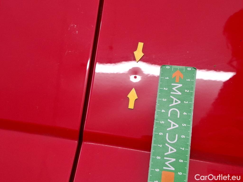  Skoda  Fabia  Business 1.0 TSI 95CV BVM5 E6dT #110