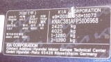 Ev6